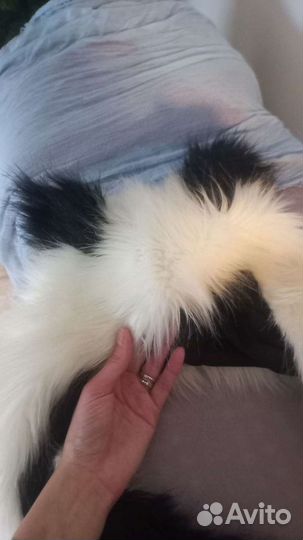 Шапка панда