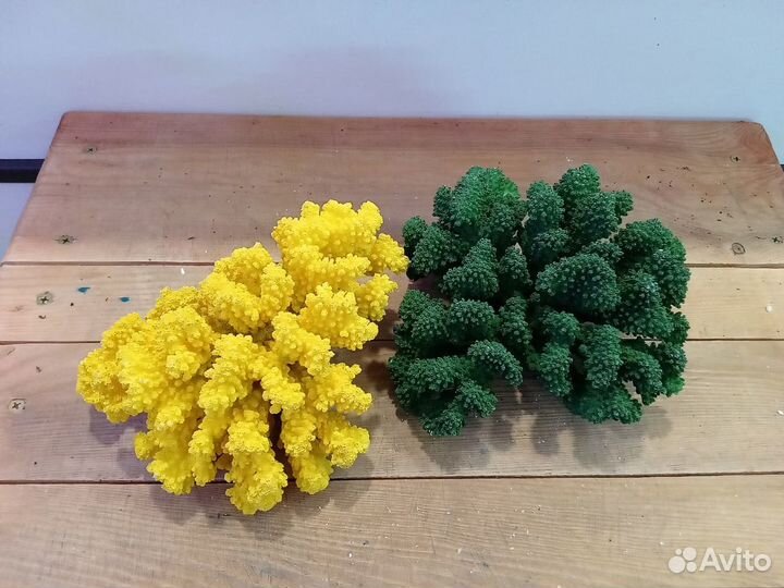 Натуральные кораллы для аквариума