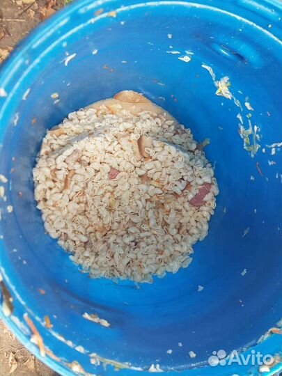 Еда для животных