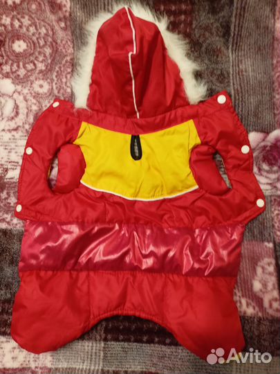 Одежда и обувь для маленькой собачки