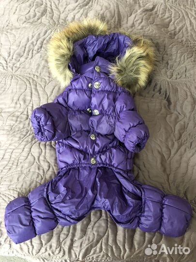 Зимний комбинезон для собак мелких пород