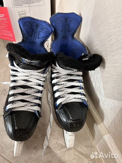 Коньки bauer nexus 2n