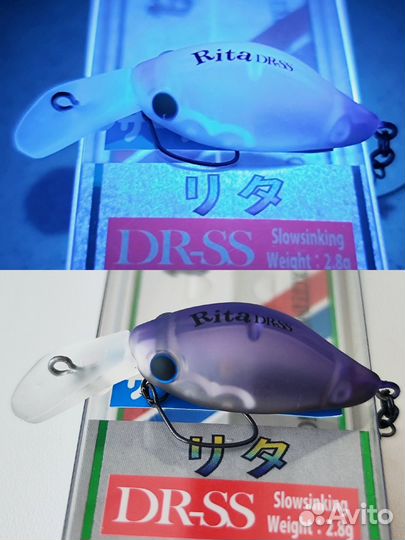 DaySprout Rita DR SS