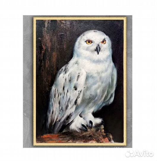 Картина маслом на холсте Белая сова