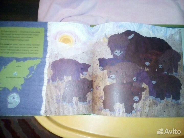 Энциклопедия+счёт