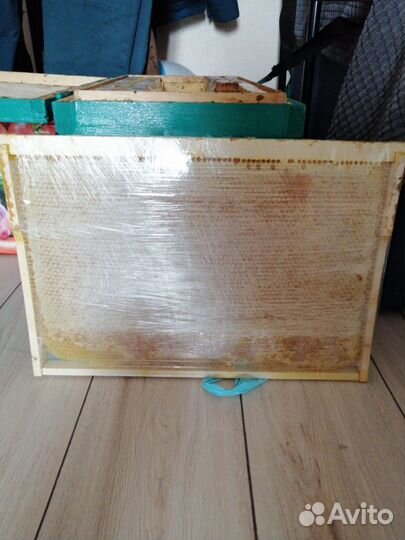 Мед 2023 года