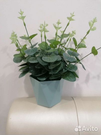 Искусственные растения/Эвкалипт/Цветы