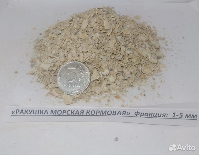 Ракушка морская кормовая оптовые поставки