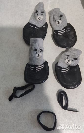 Носки для собак