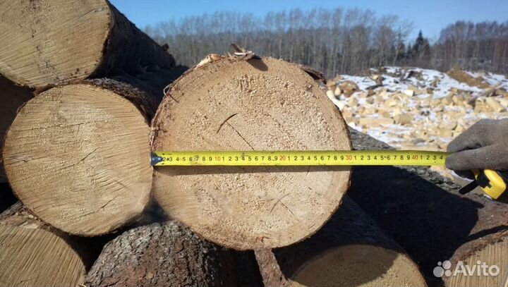 Купим лес-кругляк, хвоя, Ф от 20, любые объемы