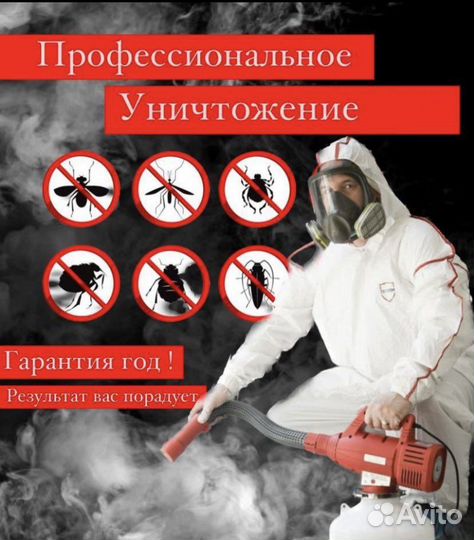 Уничтожение насекомых