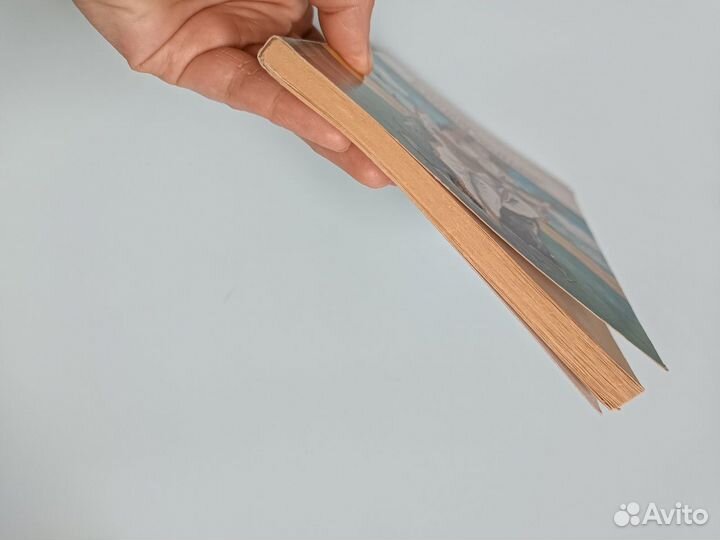 Введение в аюрведические методы лечения