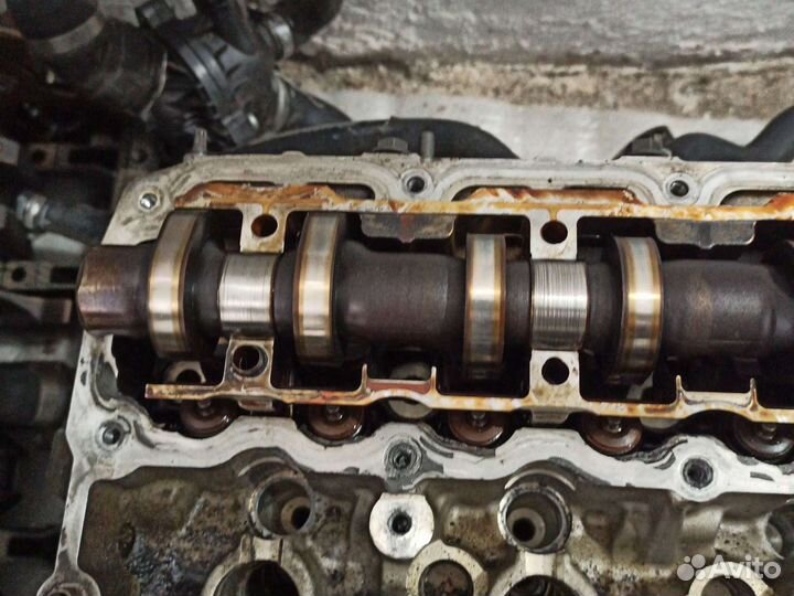 Выпускной распредвал Bmw n53