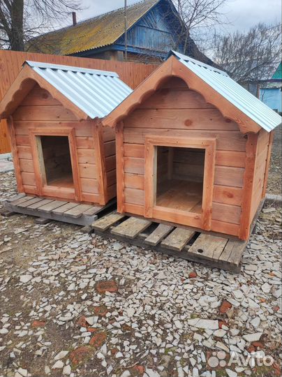 Собачья будка