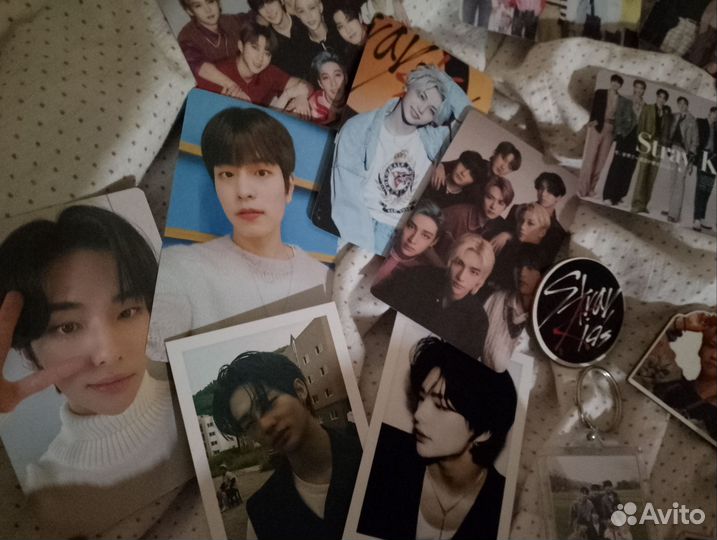 Бокс stray kids