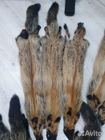 Шкурки крашенной лисы