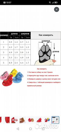 Обувь для щенка