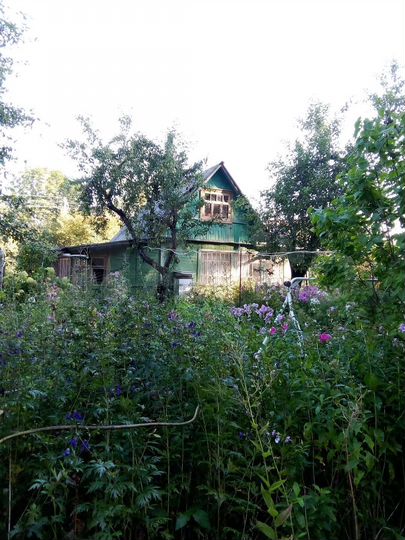 Участок 10 сот. (СНТ, ДНП)