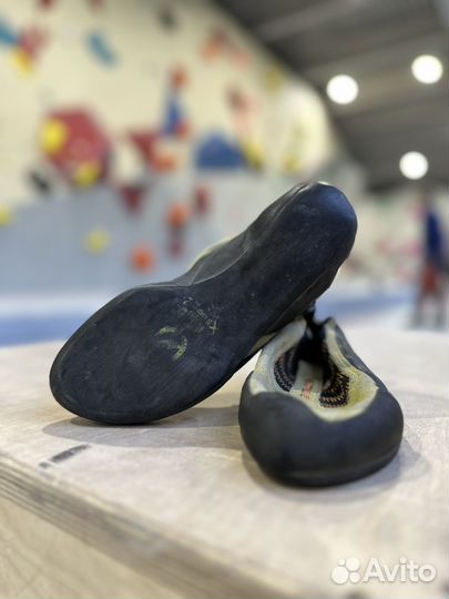 Скальные туфли