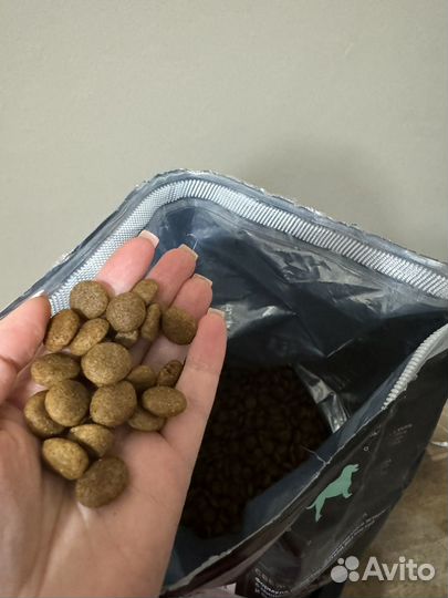 Корм для собак premier