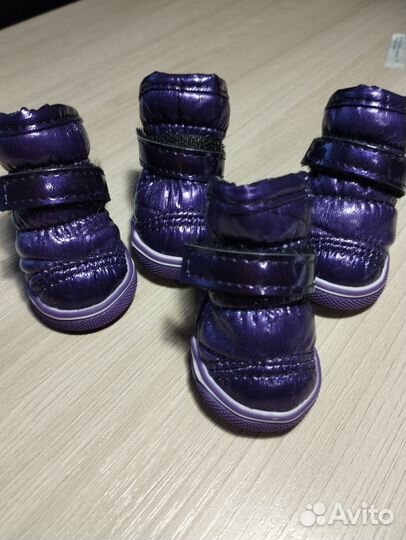 Сапожки для собак мелких пород