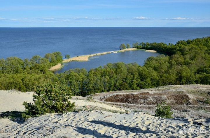 Экскурсии на Куршскую косу