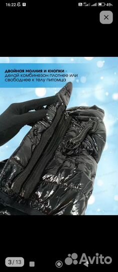 Одежда для собачки и туалет