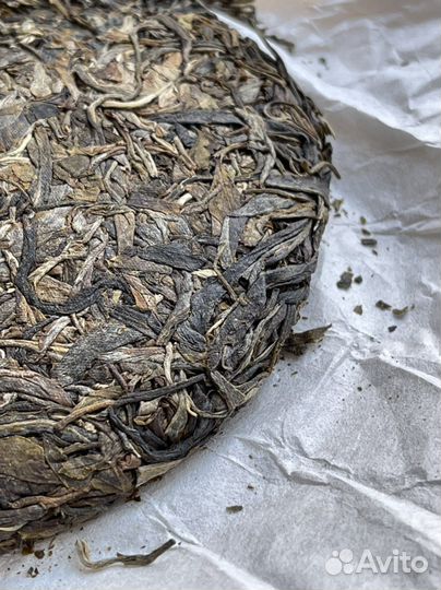 Шен Пуэр одиночное дерево, 600 лет