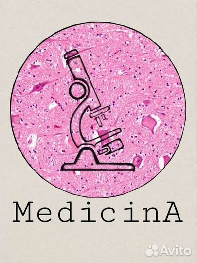 Рисую на заказ гистологию/анатомию/биологию