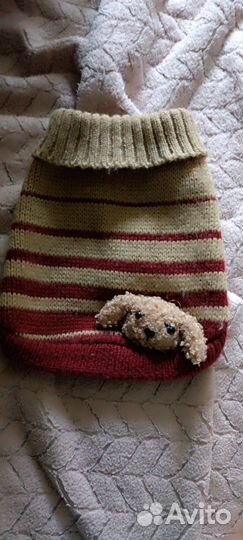 Вещи для собаки мелких пород