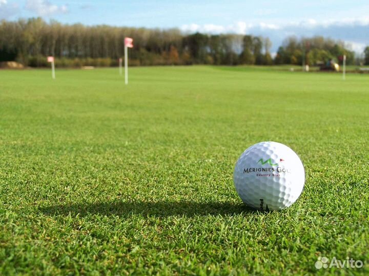 Семена газона Роял Грин Гольф (мешок 5кг)