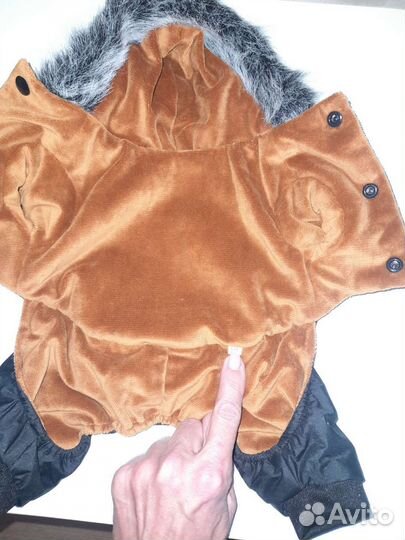 Одежда для собак