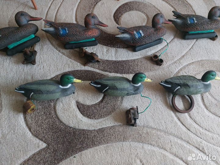 Чучела уток и гусей