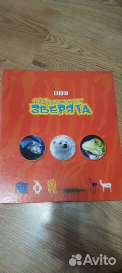 Твои весёлые друзья зверята