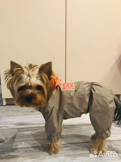 Двухсторонний дождевик