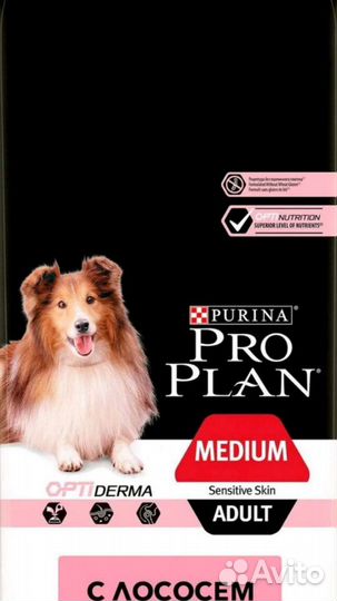 Сухой корм для собак