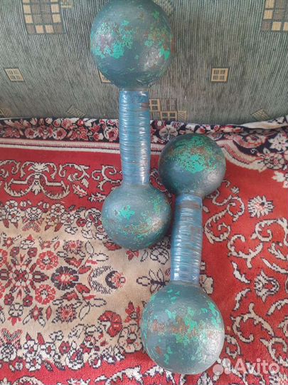 Гантели по 10 кг