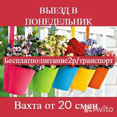 20 смен / питание / бесплатный транспорт /упаковщи