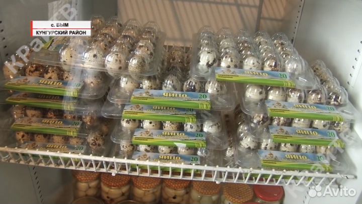 Упаковка для перепелиных яиц 20