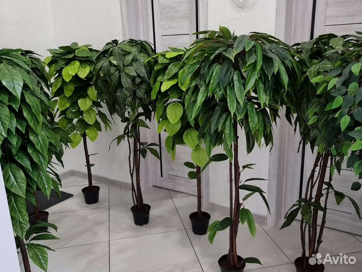 Искусственные растения деревья цветы озеленение