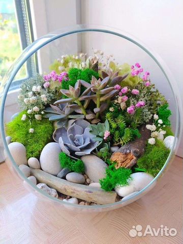 Флорариум. Мини сад