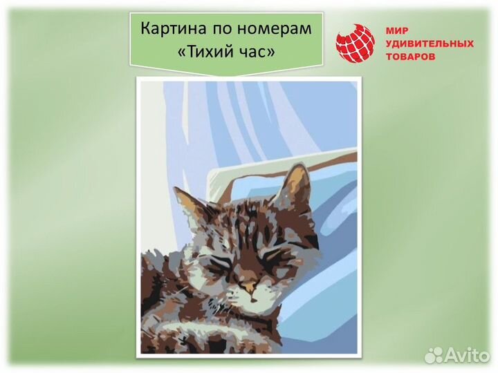 Картина по номерам 40х50