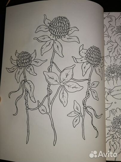 Hanna Karlzon Tales from The Witch's cottage