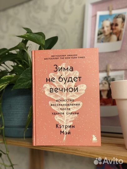 Книга «Зима не будет вечной»