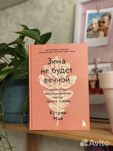 Книга «Зима не будет вечной»