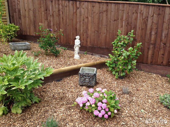 Кора лиственницы