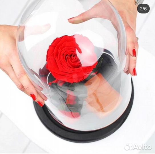 Розы в колбе разные