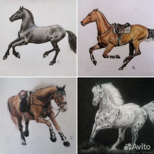 Рисунки лошадей