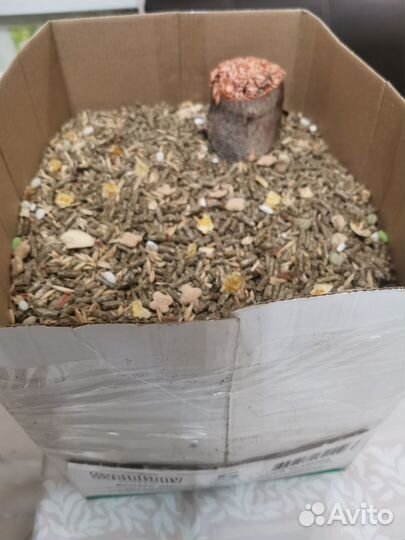 Корм для кролика