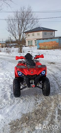 Квадроцикл Motax Grizlik 200 Ultra